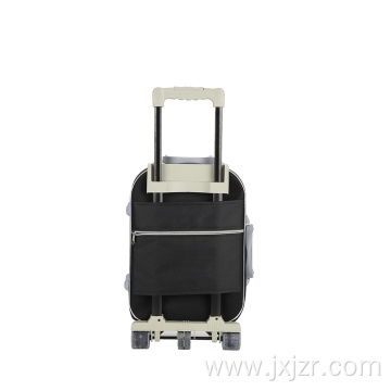 Business travel trolley spinner luggage